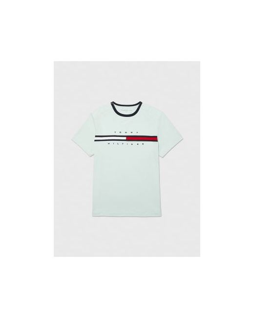Tommy Hilfiger Adaptive Signature Stripe T-Shirt Minty Essence L