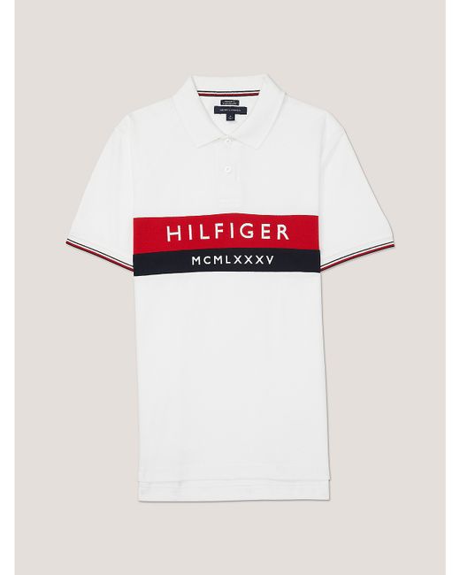Tommy Hilfiger Regular Fit Colorblock Polo