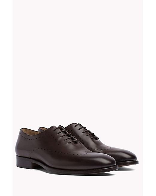 Tommy Hilfiger Tailored Brogue Coffee Bean