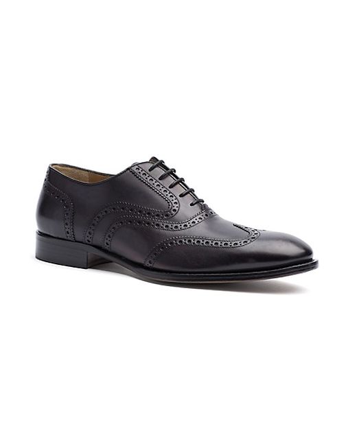 Tommy Hilfiger Tailored Collection Classic Brogue