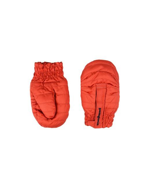 Patagonia ACCESSORIES Gloves on