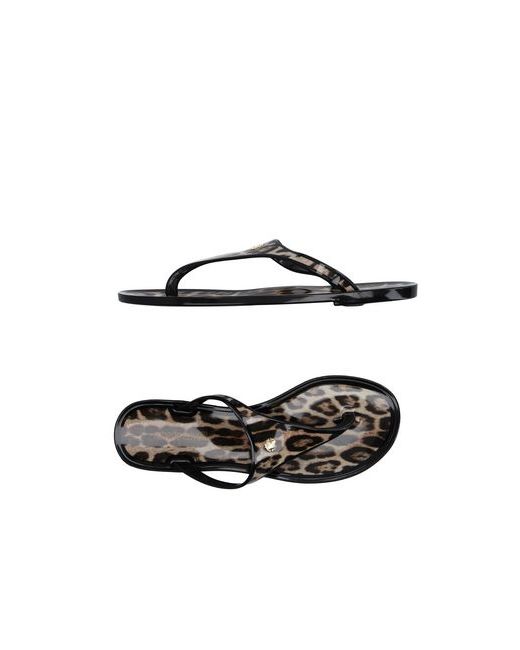 Roberto Cavalli FOOTWEAR Thong sandals on