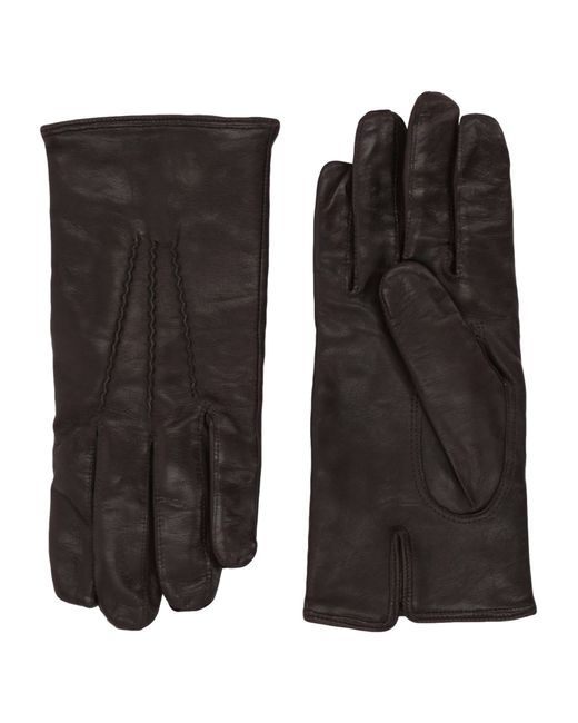 Sermoneta Gloves Gloves