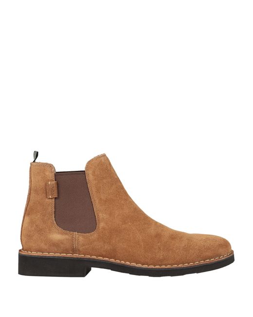 Polo Ralph Lauren Ankle boots