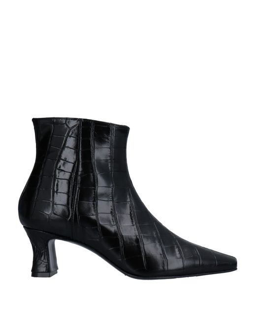 Ncub Ankle boots