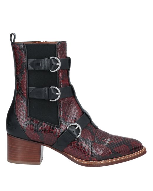 Etro Ankle boots