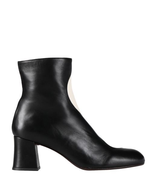 Chie Mihara Ankle boots