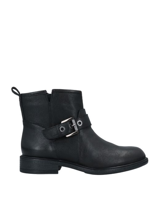 Geox Ankle boots
