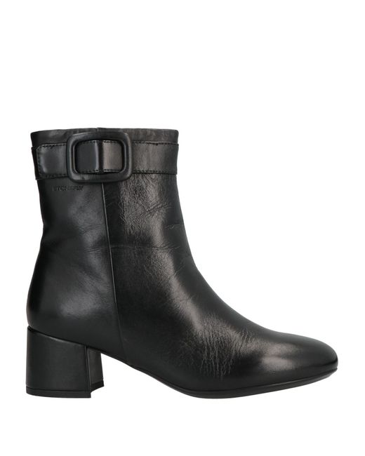 Stonefly Ankle boots