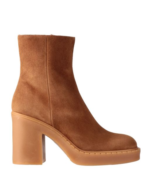 Bianca Di Ankle boots