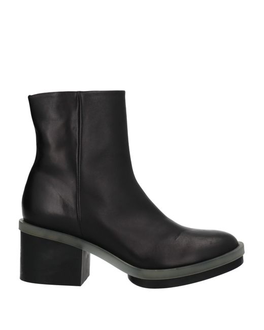 Clergerie Ankle boots