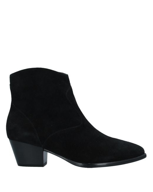 Ash Ankle boots