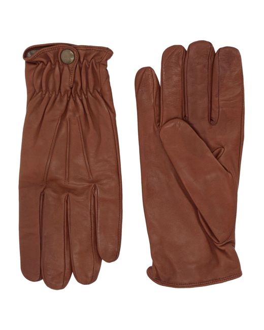 Sermoneta Gloves Gloves
