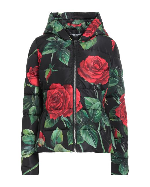 Dolce & Gabbana Down jackets