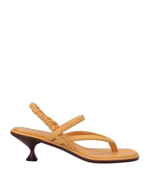 Tod's Toe strap sandals