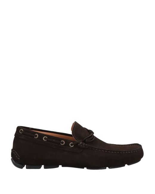 Saxone Loafers