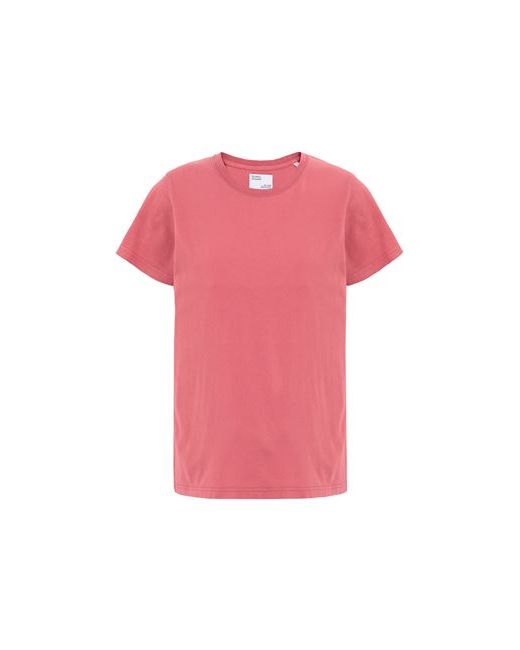 Colorful Standard T-shirt Pastel Organic cotton