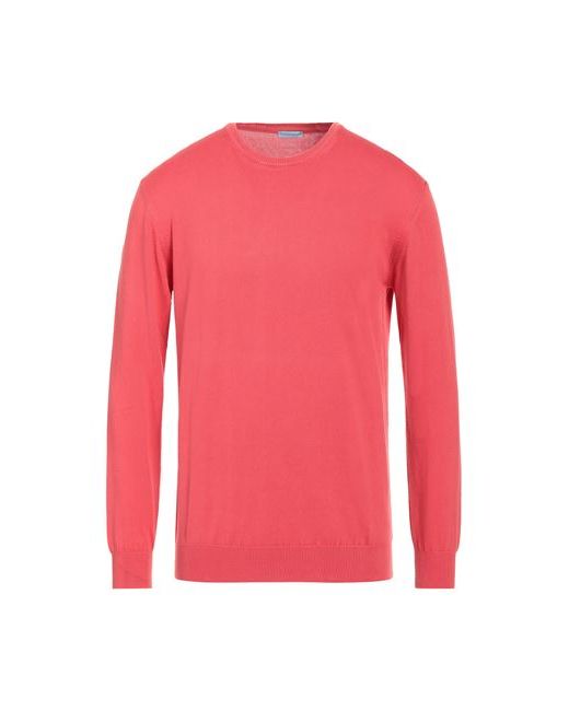 Herman & Sons Man Sweater Coral Cotton