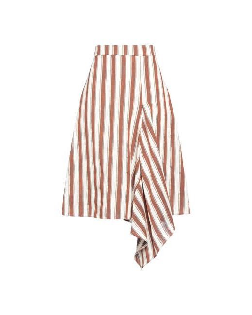 Berwick Midi skirt Cotton Acetate Polyester