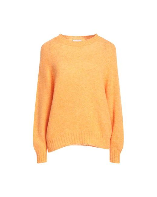 Scaglione Sweater M Merino Wool