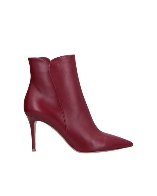Gianvito Rossi Ankle boots Burgundy