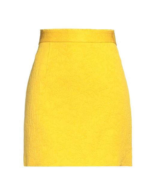 Proenza Schouler Mini skirt Cotton Viscose