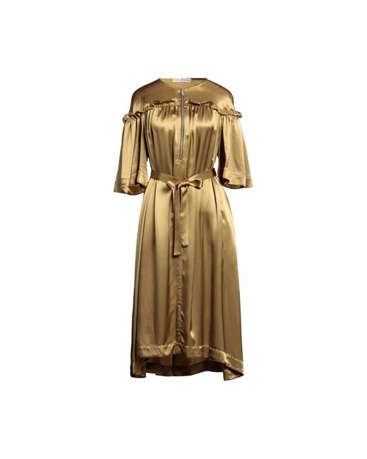Golden Goose Midi dress Viscose